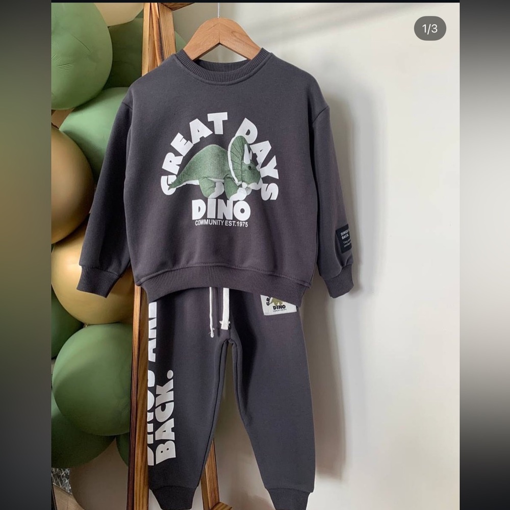 Zara dinosaur sweater set